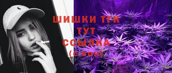 тгк Алексин