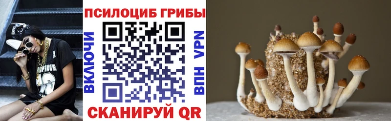 Псилоцибиновые грибы прущие грибы  Сергач 
